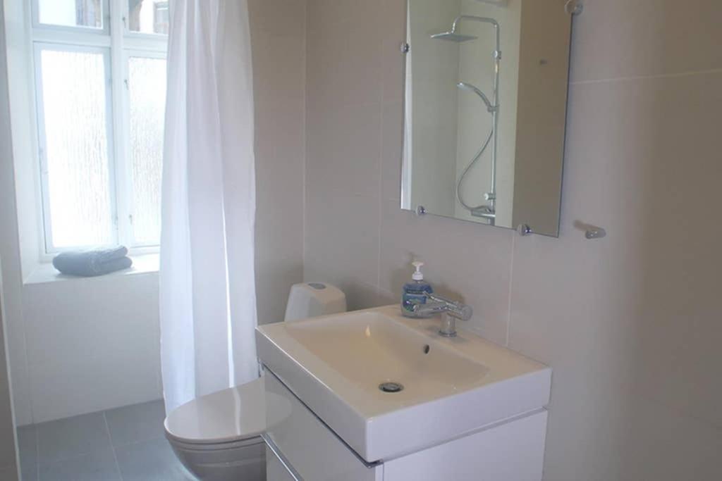 Next To New Harbor / 3 Bedroom & 2 Bath København